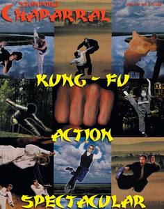 Kung fu action spectacular cover